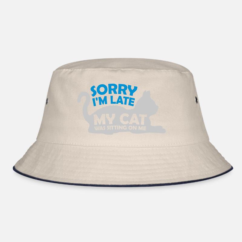 désolé chat était assis Bob
