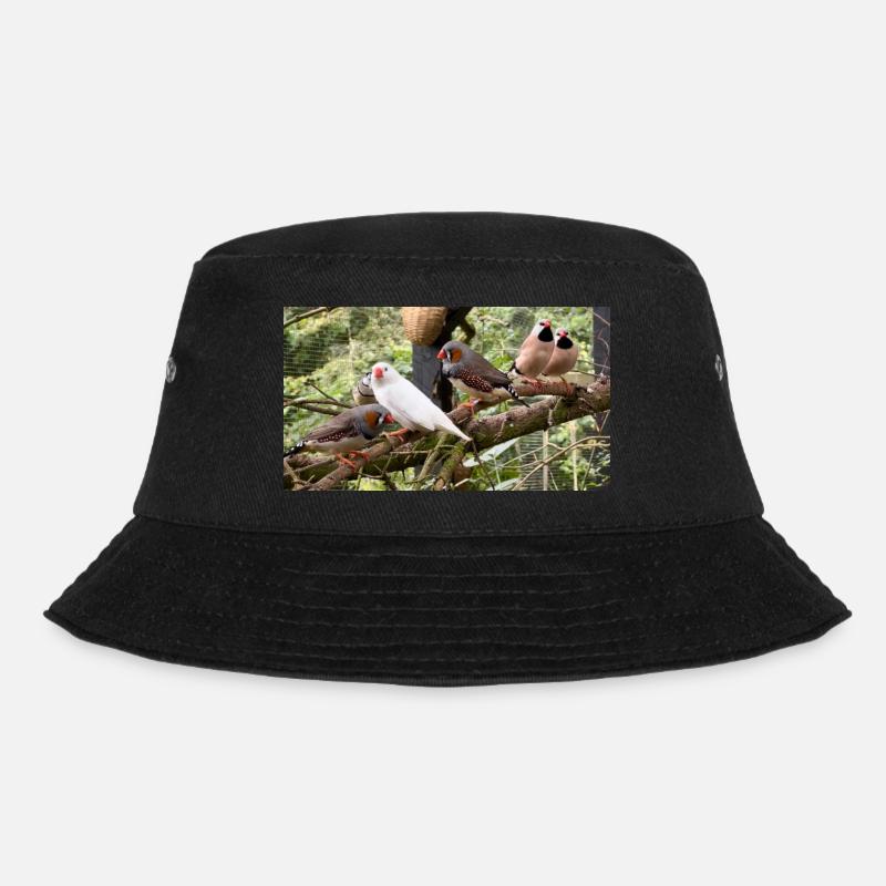 Finkenflock - Zebrafinken - Bucket Hat - Schwarz