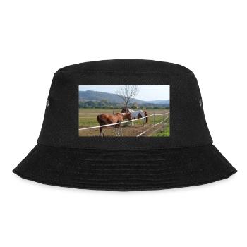 Chevaux - Bob - noir - Devant - Lela (165cm)
