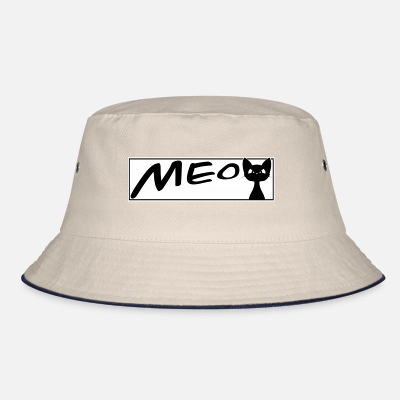 chat mignon MEOW chats chat chat Bob