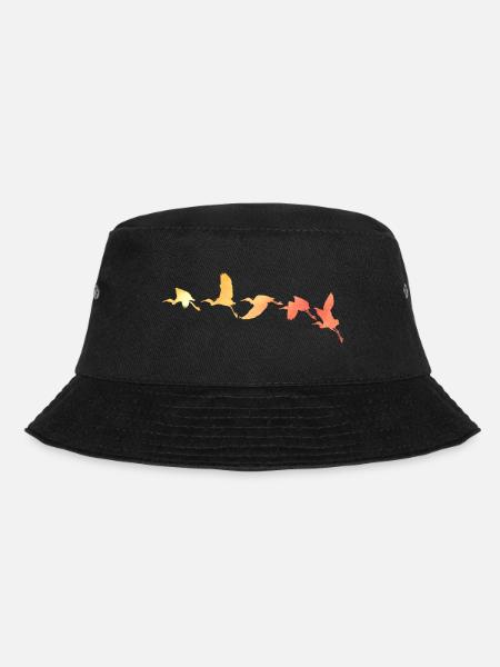 oiseaux - Bob - noir