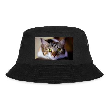 the cat with the sweet look - Bucket Hat - black - Front - Lela (165cm)