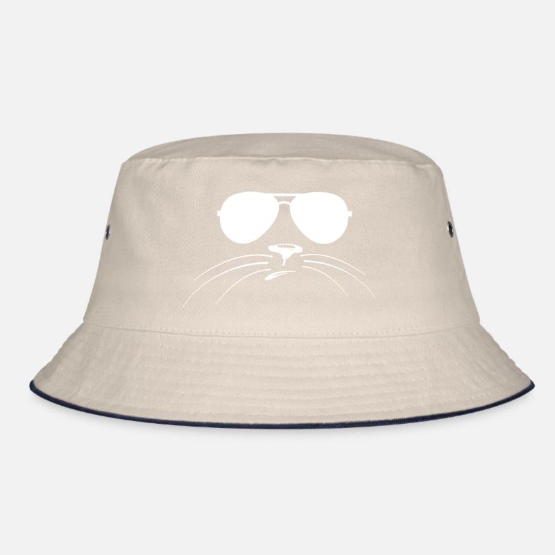 Chats visage avec des lunettes de soleil Bob