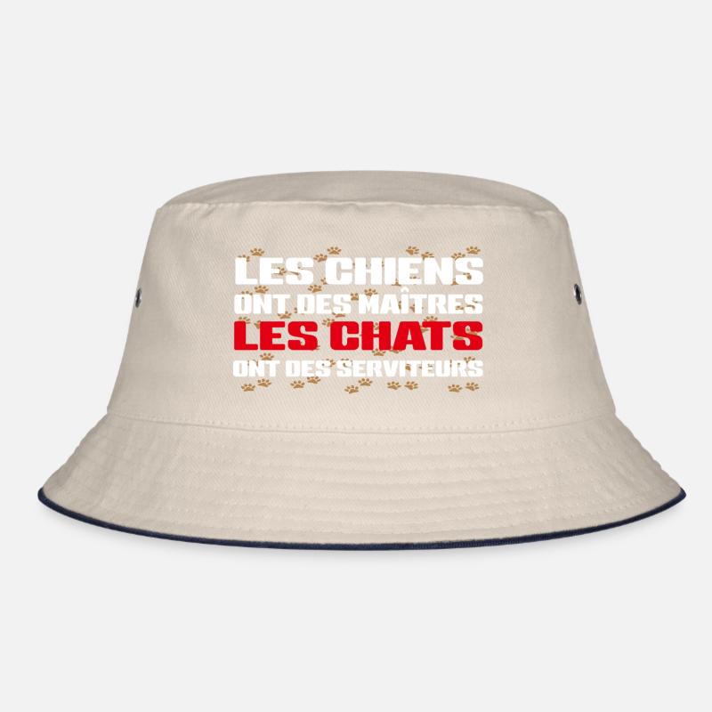 Humour de Chat Bob