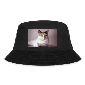 le chat au doux regard - Bob - noir - Devant - Lela (165cm)