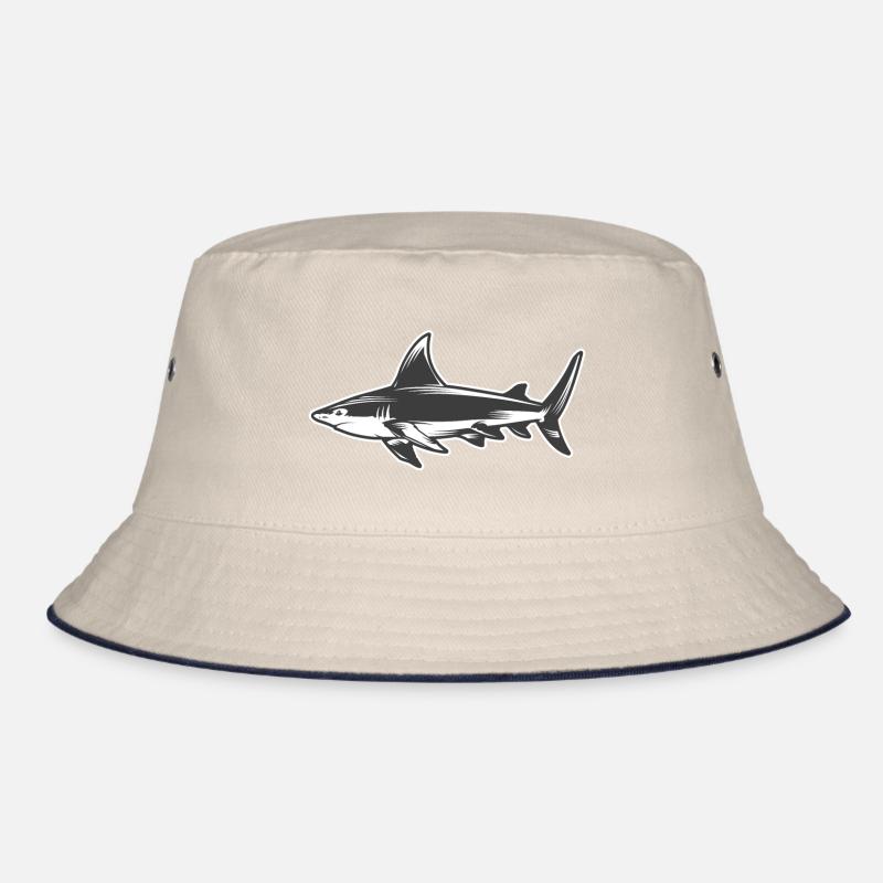 Requin requin Bob