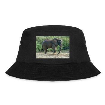 Elephant stomped its foot into the sand. - Bucket Hat - black - Front - Lela (165cm)
