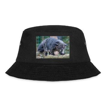 Binturong (Arctictis binturong) Marderbär Asien - Bucket Hat - Schwarz - Vorne - Lela (165cm)