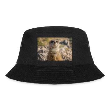 Erdmännchen (Suricata suricatta) meerkat - Bucket Hat - Schwarz - Vorne - Lela (165cm)