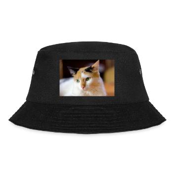 le chat au doux regard - Bob - noir - Devant - Lela (165cm)