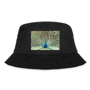 Peacock - Bob - noir - Devant - Lela (165cm)