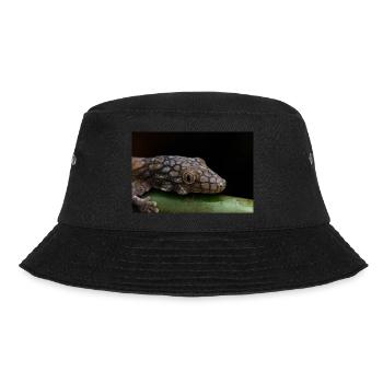Eurydactylodes symmetricus - Neukaledonian gecko - Bucket Hat - black - Front - Lela (165cm)