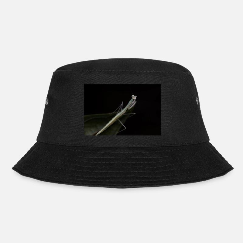 Sinomantis denticulata Nymphe - Glasmantis - Bucket Hat - Schwarz