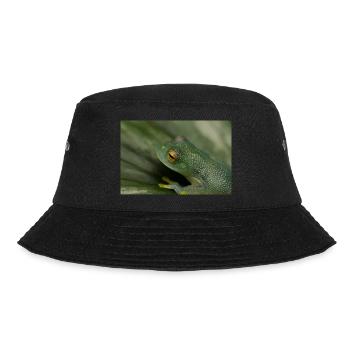 Cochranella granulosa - grenouille de verre, grenouille arboricole - Bob - noir - Devant - Lela (165cm)