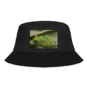 Hyalinobatrachium valerioi - Glass frog - Bucket Hat - black - Front - Lela (165cm)
