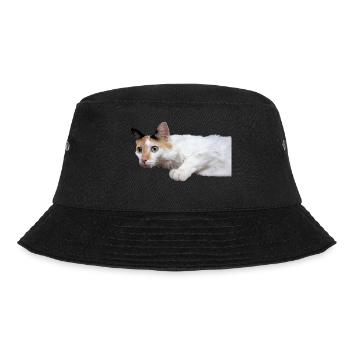 le chat au doux regard - Bob - noir - Devant - Lela (165cm)