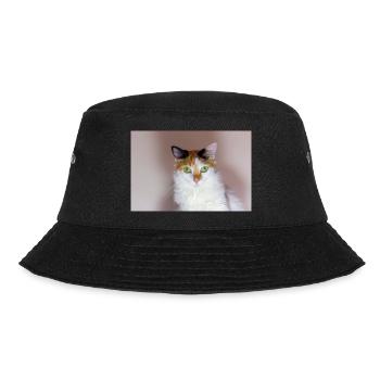 le chat au doux regard - Bob - noir - Devant - Lela (165cm)