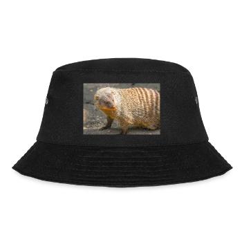 Gebänderte Manguste oder Zebramanguste - Bucket Hat - Schwarz - Vorne - Lela (165cm)