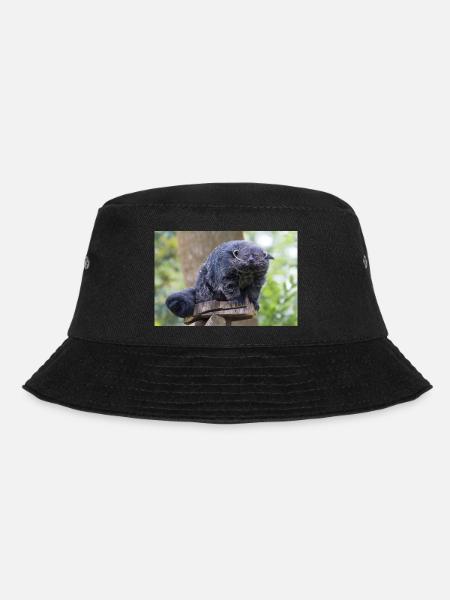 Binturong auch Bebärkatze Marderbär Arctictis - Bucket Hat - Schwarz