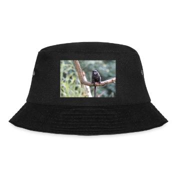 Tamarin à manteau noir Schwarzrückentamarin - Bob - noir - Devant - Lela (165cm)