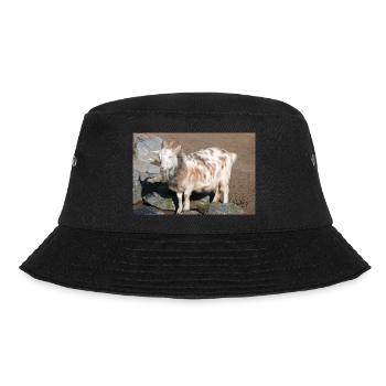 Chèvre naine ou chèvre miniature Zwergziege - Bob - noir - Devant - Lela (165cm)