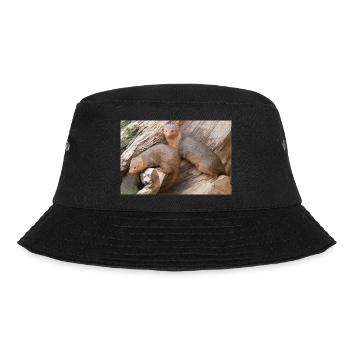Zwergmanguste (Zwergmangusten) Helogale - Bucket Hat - Schwarz - Vorne - Lela (165cm)