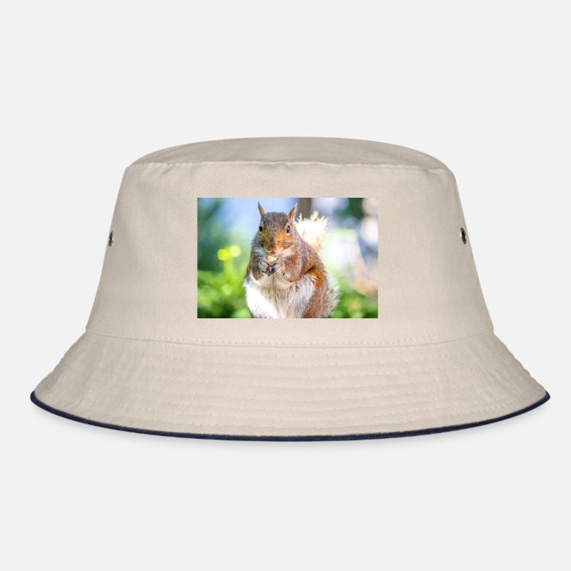 Grauhörnchen essen Bucket Hat