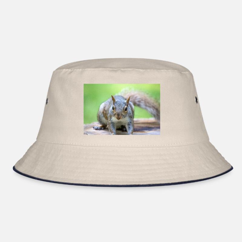 Grauhörnchen Sciurus carolinensis Bucket Hat