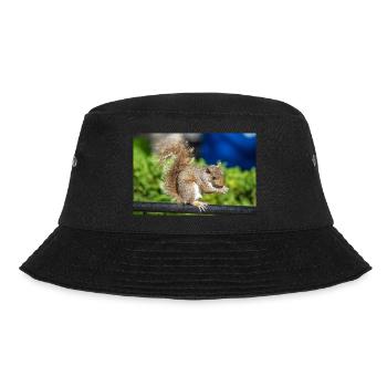 Essen Grauhörnchen Grauhörnchen Sciurus carolin - Bucket Hat - Schwarz - Vorne - Lela (165cm)