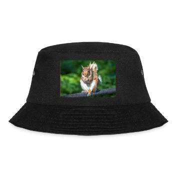Eating Grey squirrel Grauhörnchen Sciurus caroline - Bucket Hat - black - Front - Lela (165cm)