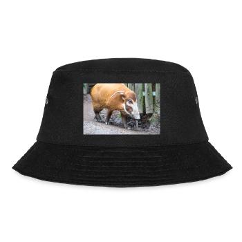 bush pig or red river hog Pinselohrschwein - Bucket Hat - black - Front - Lela (165cm)
