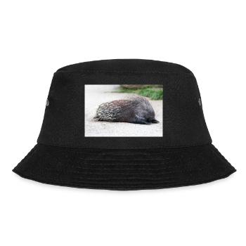 Porcupine als Porky (in german Stachelschwein) Hys - Bucket Hat - black - Front - Lela (165cm)