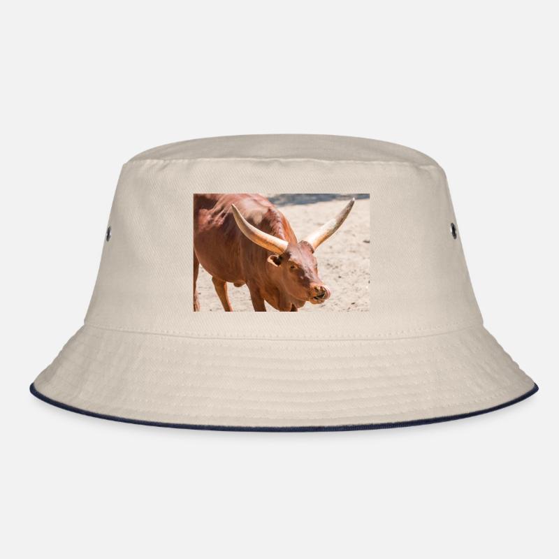 Ankole-Watusi oder Ankole Longhorn Watussirind Bucket Hat