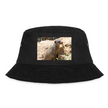 Meerkat (Suricata suricatta, Erdmännchen) - Bucket Hat - black - Front - Lela (165cm)