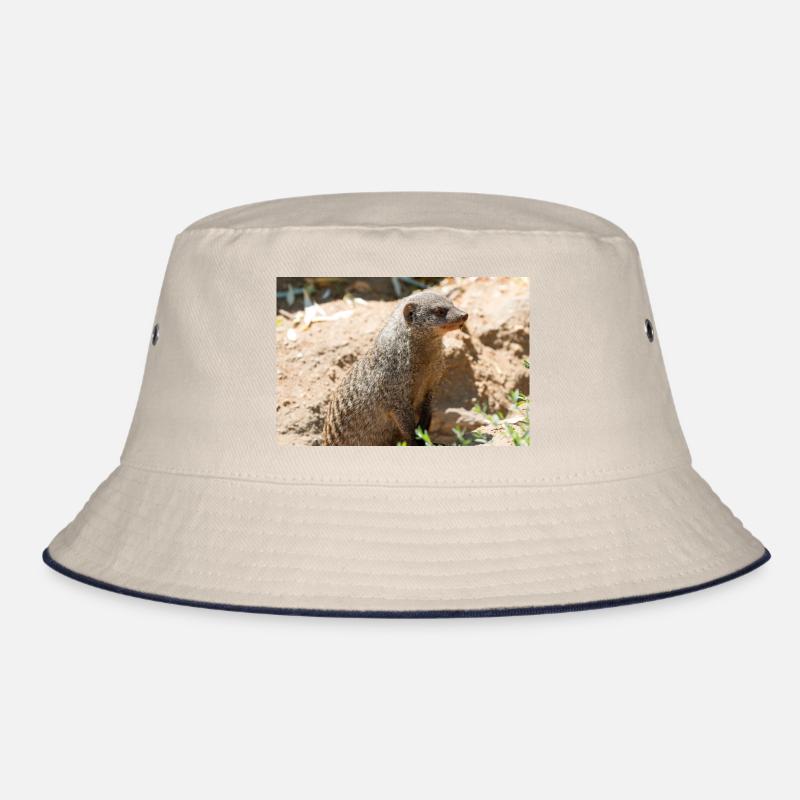 Erdmännchen (Suricata suricatta, Erdmännchen) Bucket Hat