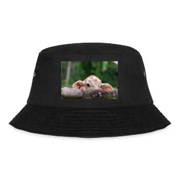 The little calf behind the barrier - Bucket Hat - black - Front - Lela (165cm)