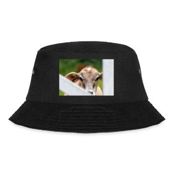 Little calf with a sweet look - Bucket Hat - black - Front - Lela (165cm)