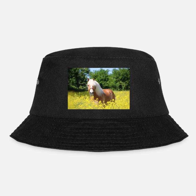 Haflinger dans le colza - Bob - noir