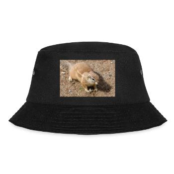 African ground squirrels Borstenhörnchen Xerus - Bucket Hat - black - Front - Lela (165cm)