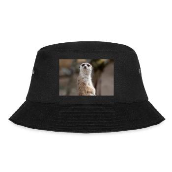 Meerkat (in german Erdmännchen) Suricata suricatta - Bucket Hat - black - Front - Lela (165cm)