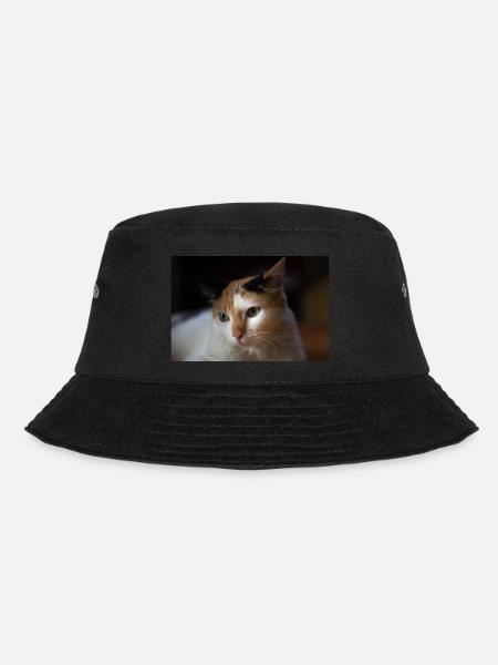 The cat - Bucket Hat - black