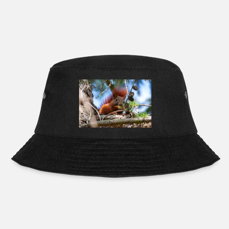écureuil (en allemand Eichhörnchen) Sciurus - Bob - noir
