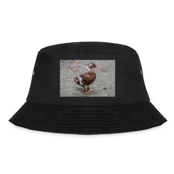 Barnacle Goose Weißwangengans, Nonnengans, Branta - Bucket Hat - black - Front - Lela (165cm)