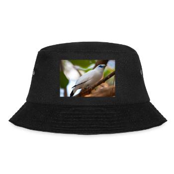 Étourneau de Bali Balistar Bali-Mynah, Leucopsar - Bob - noir - Devant - Lela (165cm)