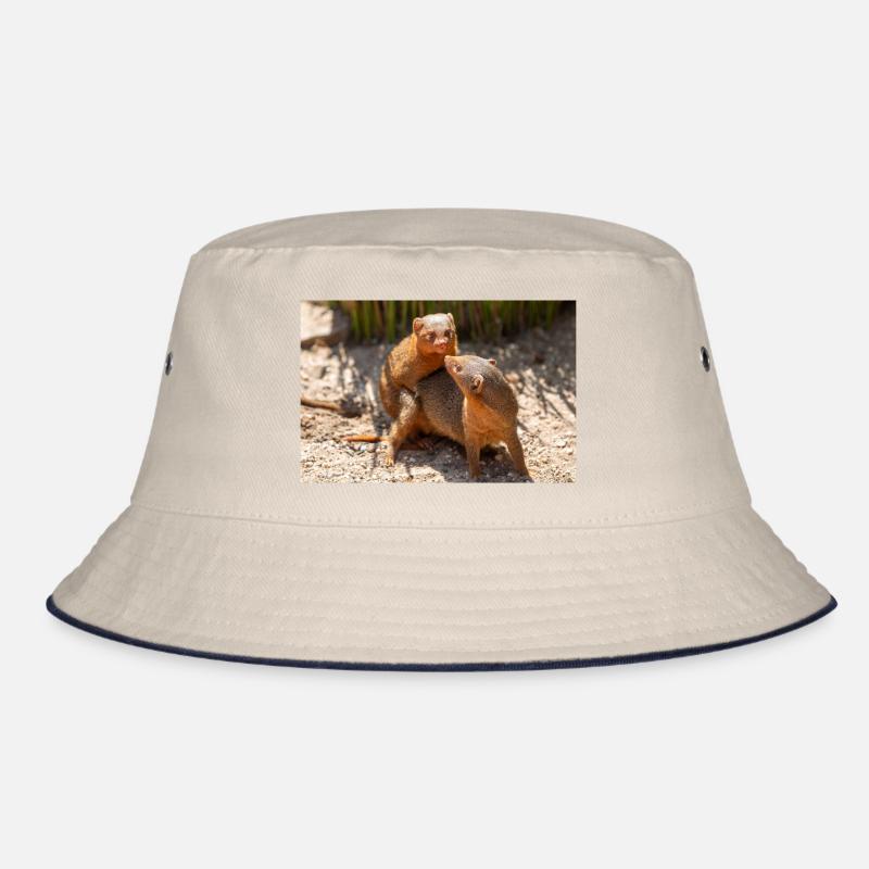 dwarf mongoose (in german Zwergmangusten) Helogale Bucket Hat