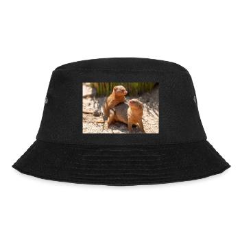 dwarf mongoose (in german Zwergmangusten) Helogale - Bucket Hat - black - Front - Lela (165cm)