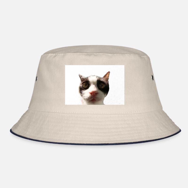 Katze Bucket Hat
