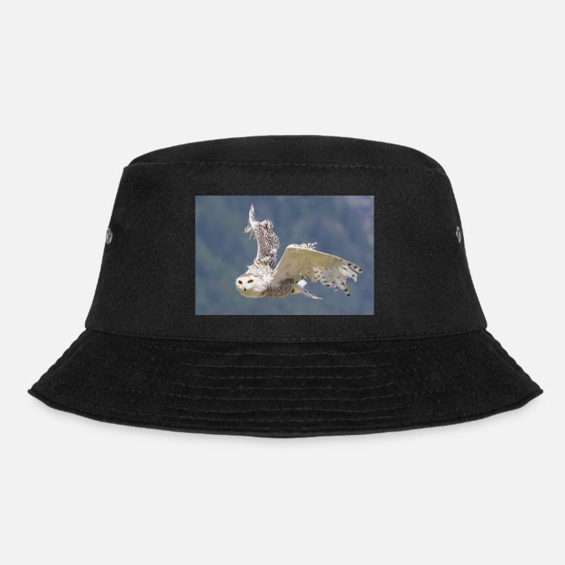 Snowy owl - Bucket Hat - black