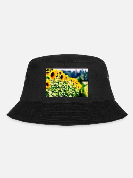 Tournesols - Bob - noir