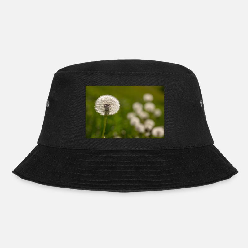Pissenlit - Bob - noir